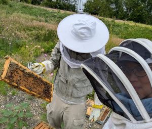 Beekeeper Julia McGuire inspecting a bee hive as a mentor in Coon Rapids, Iowa